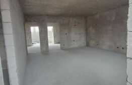 Casa pe parter Damila, 120 mp utili, teren 300mp 