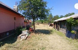 Teren intravilan 893 mp, comuna Carcea