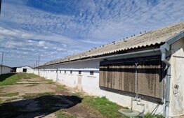 Teren intravilan 26395 mp (fosta Ferma Avicola), Zona Simnicu de Sus