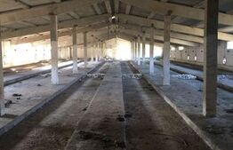 Teren intravilan 26395 mp (fosta Ferma Avicola), Zona Simnicu de Sus