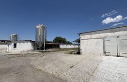 Teren intravilan 26395 mp (fosta Ferma Avicola), Zona Simnicu de Sus