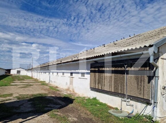 Teren de vânzare Simnicu de Sus  - 183137TV | BLITZ Craiova | Poza2