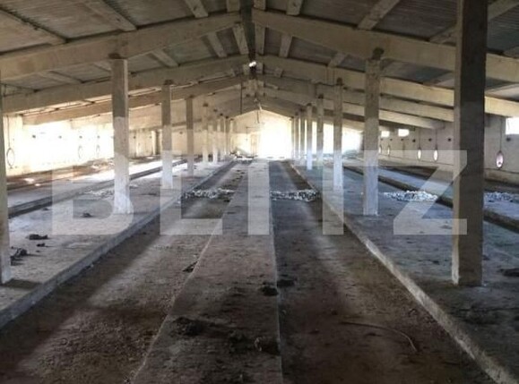 Teren de vânzare Simnicu de Sus  - 183137TV | BLITZ Craiova | Poza3