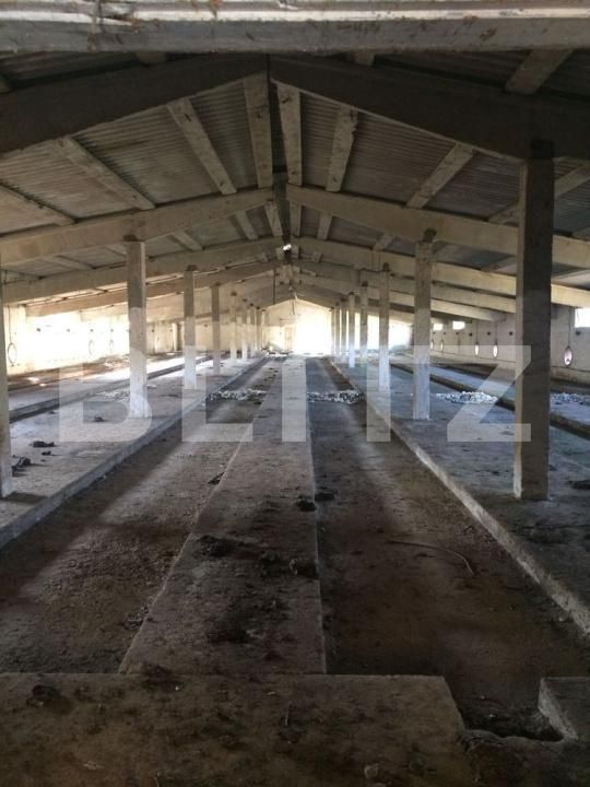 Teren de vânzare Simnicu de Sus  - 183137TV | BLITZ Craiova | Poza3