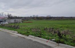 Teren Mischii - 760 mp la asfalt  , toate utilitatile