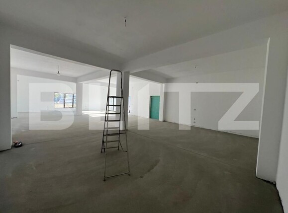 Spațiu industrial de închiriat Exterior Sud - 183165SII | BLITZ Craiova | Poza4