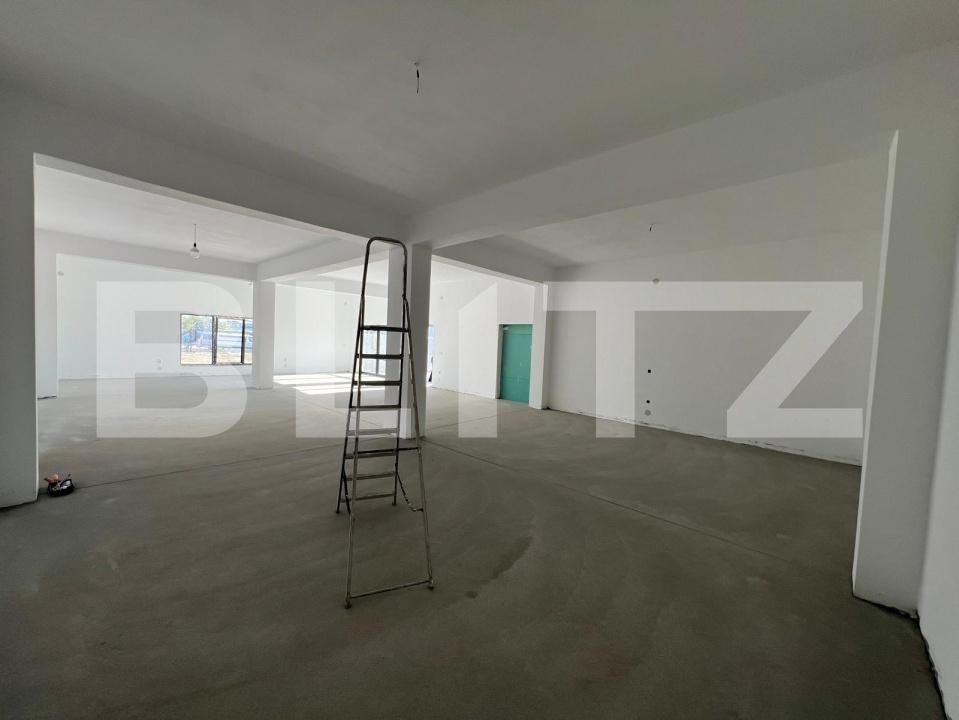 Spațiu industrial de închiriat Exterior Sud - 183165SII | BLITZ Craiova | Poza4