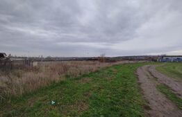 IN EXCLUSIVITATE - Teren Mischii, 1047 MP, toate utilitatile