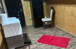 Camera de camin, 10.51 mp, zona Valea Rosie