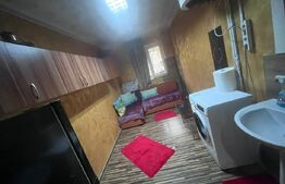 Camera de camin, 10.51 mp, zona Valea Rosie