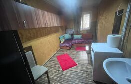 Camera de camin, 10.51 mp, zona Valea Rosie