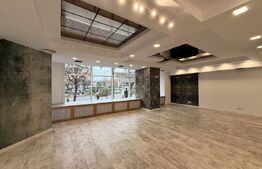 Spațiu comercial de închiriat Ultracentral - 167825SIC | BLITZ Craiova | Poza4