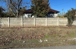 Casă renovată, teren 2400 mp, sat Sirsca