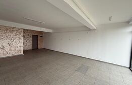 Spațiu comercial, 56 mp – zona Damila  