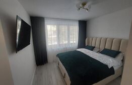 Apartament 2 camere, 48 mp utili, zona Brazda lui Novac