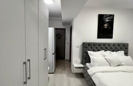 Garsonieră de vanzare, zona Cornitoiu