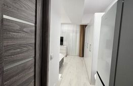 Garsonieră de vanzare, zona Cornitoiu