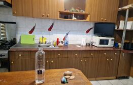 Apartament cu 4 camere, cazare muncitori, cartier Rovine