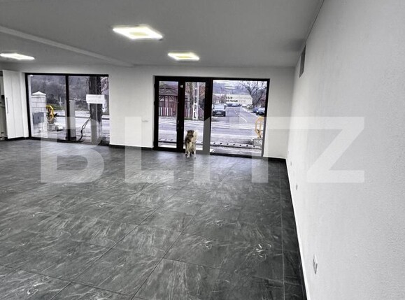 Spațiu comercial de închiriat Podari - 183560SIC | BLITZ Craiova | Poza3