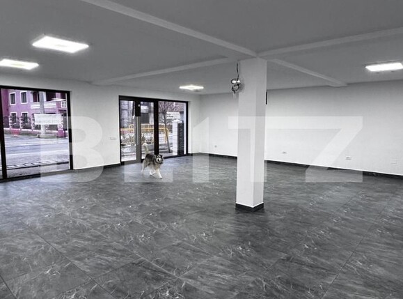 Spațiu comercial de închiriat Podari - 183560SIC | BLITZ Craiova | Poza2