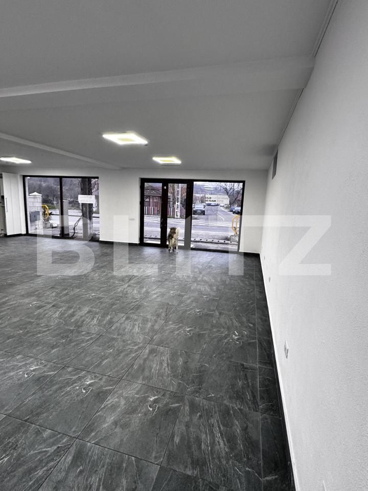 Spațiu comercial de închiriat Podari - 183560SIC | BLITZ Craiova | Poza3