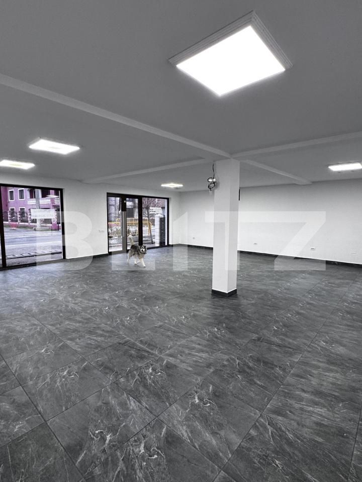 Spațiu comercial de închiriat Podari - 183560SIC | BLITZ Craiova | Poza2