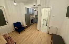 Garsoniera la prima inchiriere, zona Rovine, 35mp