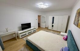 Garsoniera la prima inchiriere, zona Rovine, 35mp