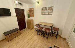 Garsoniera la prima inchiriere, zona Rovine, 35mp