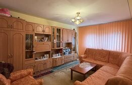 Apartament 2 camere decomandate, et.1, Filiasi