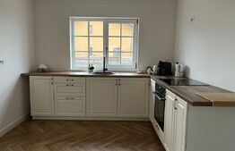 Vila moderna, P+1, 480 mp teren, Damila