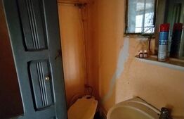 Casa de vanzare 800 mp curte, 32 mp utili, Bratovoești 