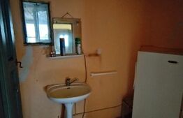 Casa de vanzare 800 mp curte, 32 mp utili, Bratovoești 