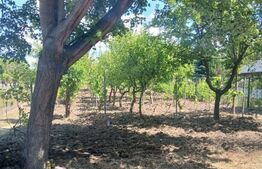 Casa de vanzare 800 mp curte, 32 mp utili, Bratovoești 