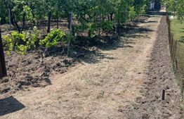 Casa de vânzare 1 camera Calea Severinului - 172454CV | BLITZ Craiova | Poza1