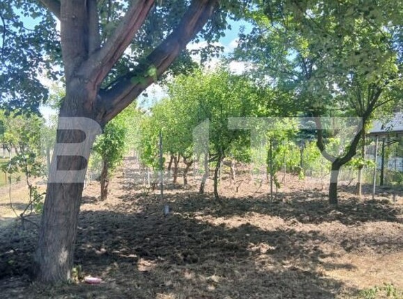 Casa de vânzare 2 camere Exterior Sud - 183718CV | BLITZ Craiova | Poza2