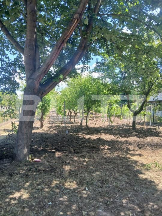 Casa de vânzare 2 camere Exterior Sud - 183718CV | BLITZ Craiova | Poza2