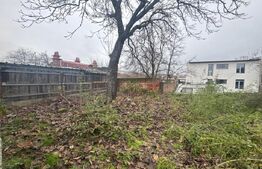 Teren intravilan, 267 mp, str. Alexandru cel Bun