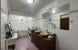 Apartament 151 mp utili, curte individuala, zona Lapus Arges