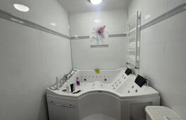 Apartament 151 mp utili, curte individuala, zona Lapus Arges