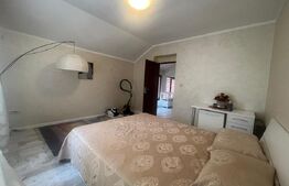 Apartament 151 mp utili, curte individuala, zona Lapus Arges