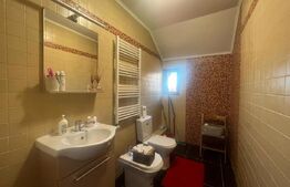 Apartament 151 mp utili, curte individuala, zona Lapus Arges