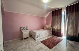 Apartament 151 mp utili, curte individuala, zona Lapus Arges