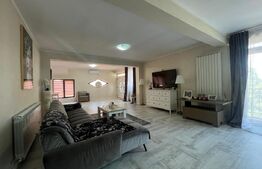 Apartament 151 mp utili, curte individuala, zona Lapus Arges