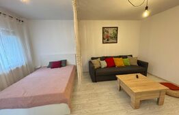 Garsoniera de inchiriat, 43 mp, zona 1 Mai