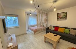 Garsoniera de inchiriat, 43 mp, zona 1 Mai