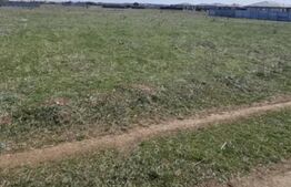 Teren 901 mp,  cu utilități și deschidere 19 m, Carcea – zonă Metro