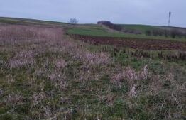 Teren extravilan, 4760 mp - zona Ghercesti 