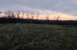 Teren extravilan, 4760 mp - zona Ghercesti 