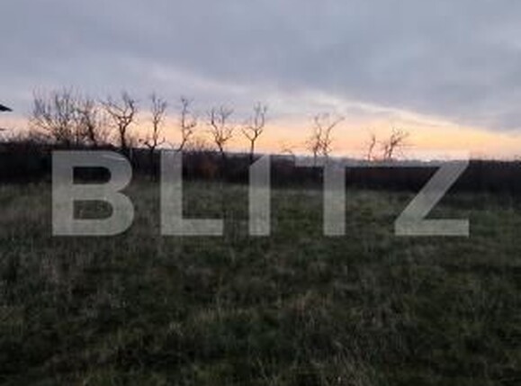 Teren de vânzare Ghercesti - 183950TV | BLITZ Craiova | Poza1